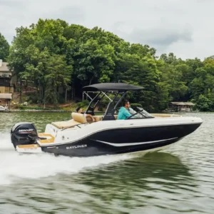 Bayliner D20