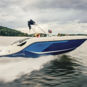 Bayliner D22I