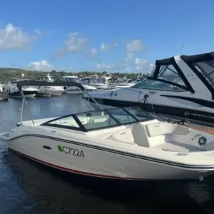 Sea Ray SPX 190