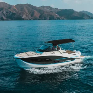 Quicksilver Activ 875 Sundeck