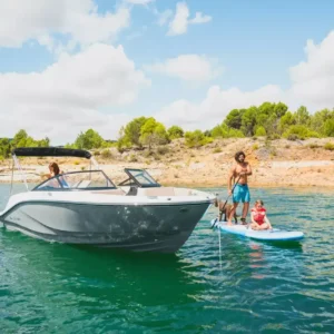 Bayliner V20I