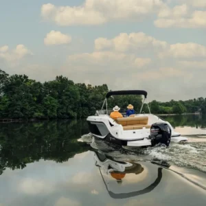 Bayliner D22
