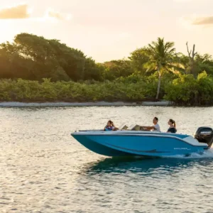 Bayliner Element M17