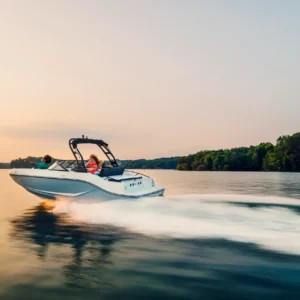Bayliner D20I